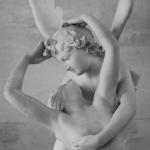 Little cabin in the Amazon forest on a summer’s day